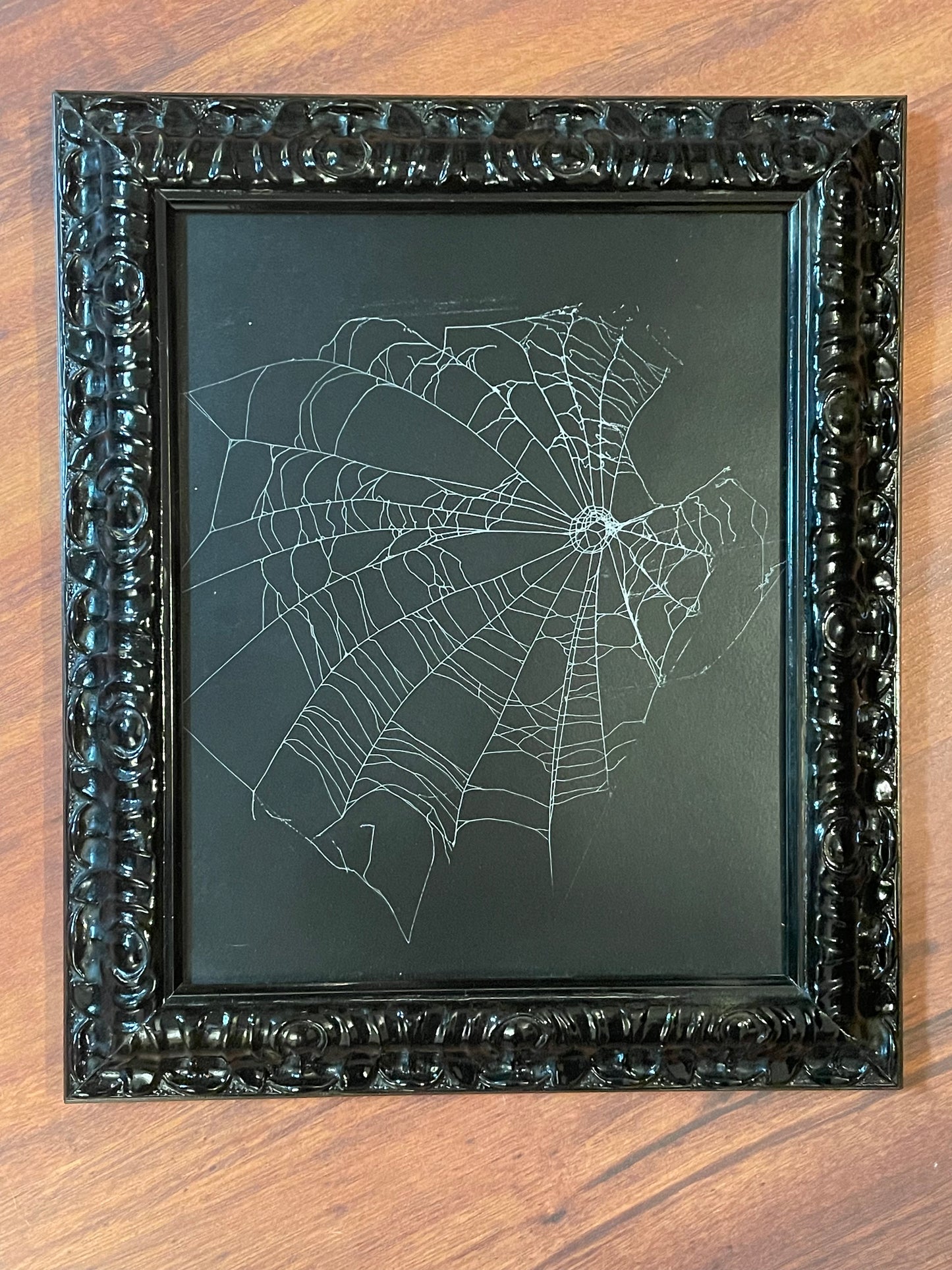 Natural preserved spider web in black frame