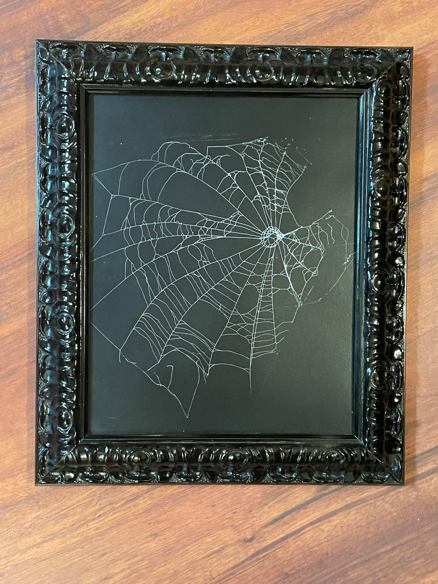 Natural preserved spider web in black frame