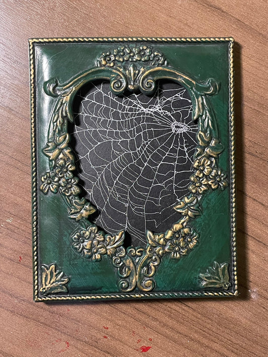 Natural preserved spider web in vintage green frame