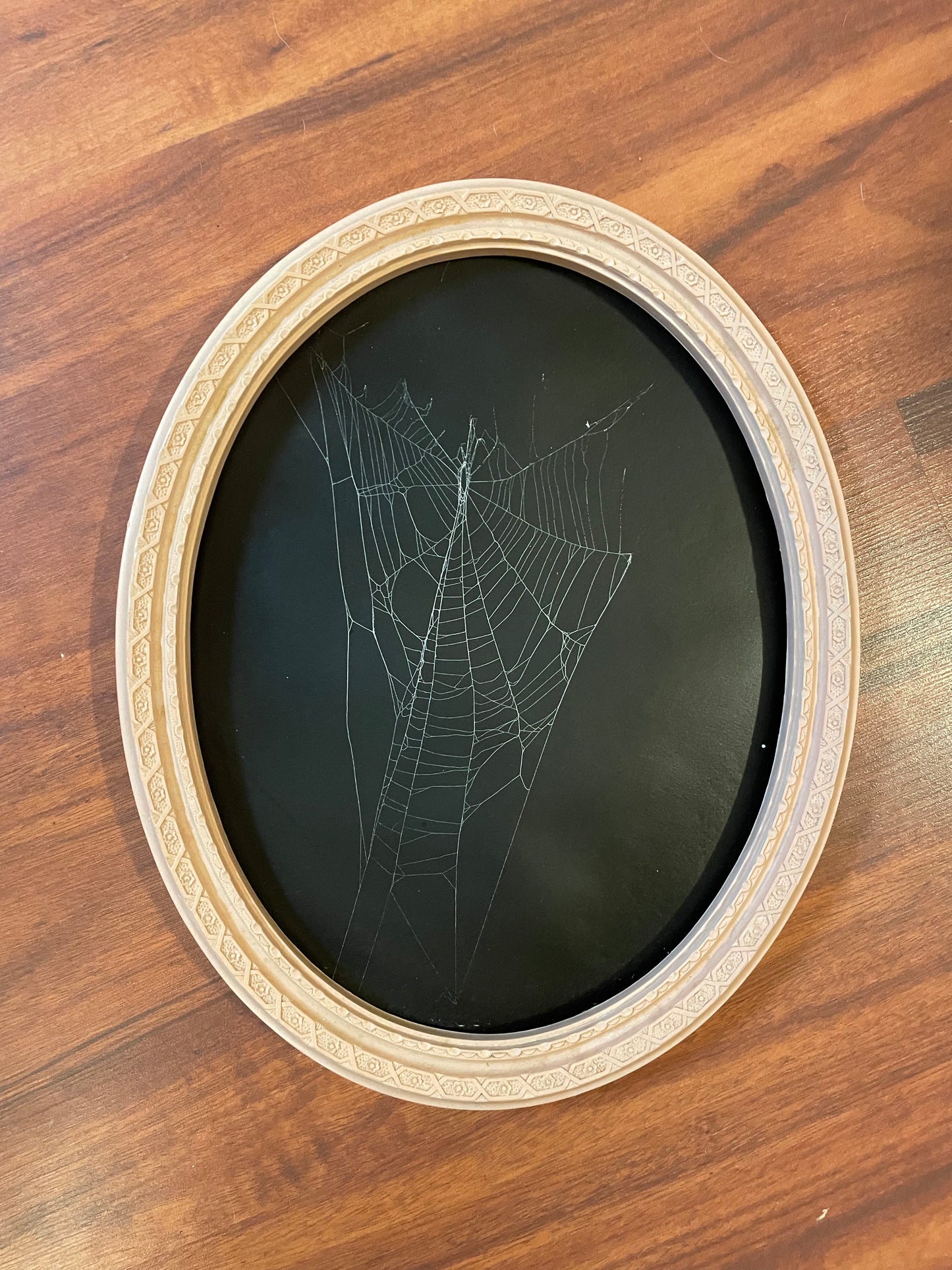 Natural preserved spider web in vintage pink frame