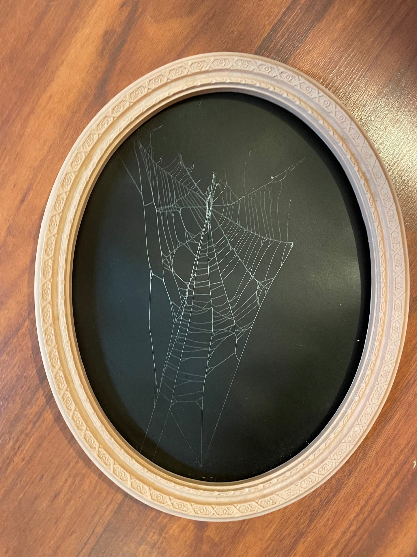 Natural preserved spider web in vintage pink frame